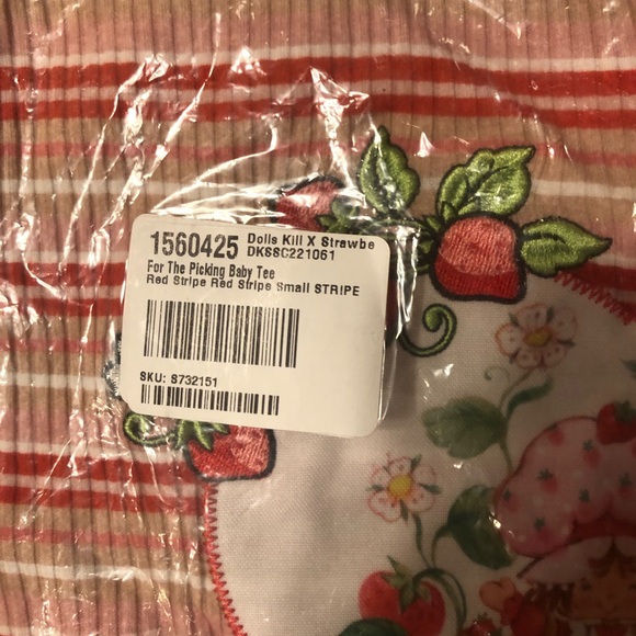 LAST 1 NWT Dolls Kill x Strawberryshortcake For the Picking Baby Tee - Picture 7 of 7